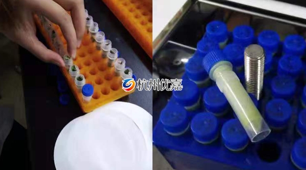 宋慈研磨儀批量研磨植物組織，速度快，重復(fù)性好
