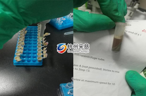 <a href=http://www.yinhe112.com/prouduct/lengdong/ target=_blank class=infotextkey>冷凍研磨儀</a>